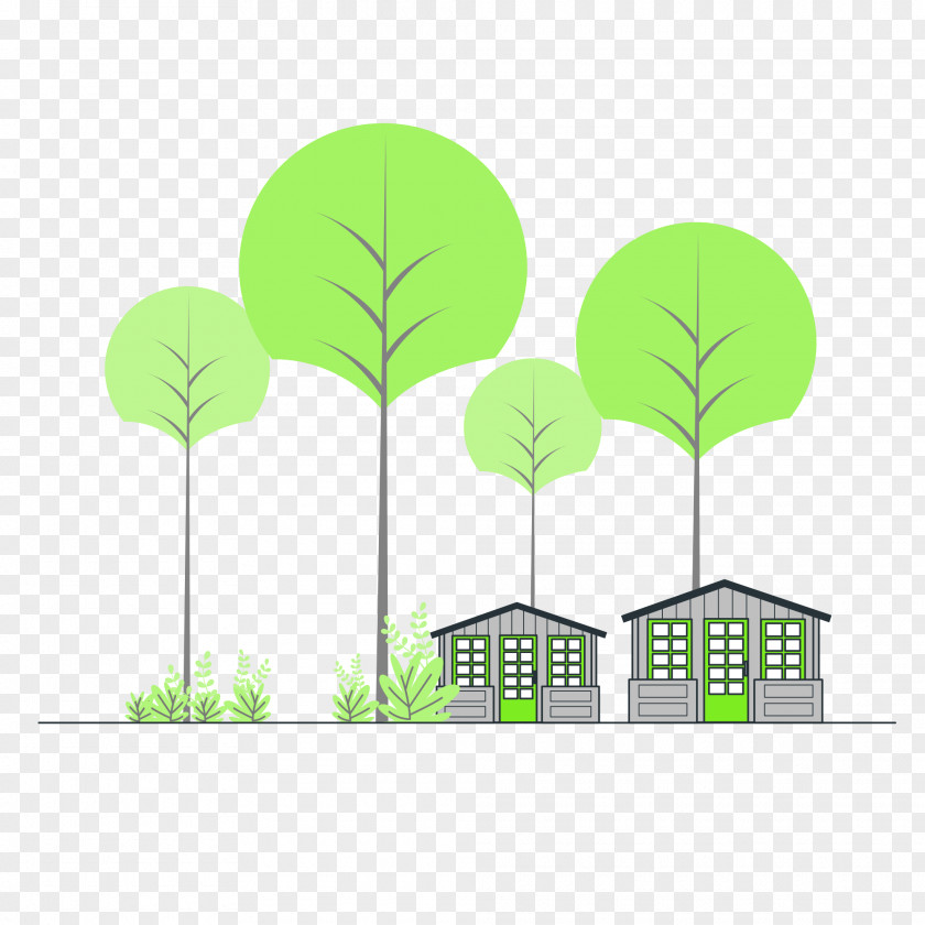 Leaf Cartoon Tree Drawing Energy PNG