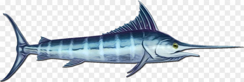 Scombridae Bonyfish Fish Atlantic Blue Marlin Fin Marine Biology PNG