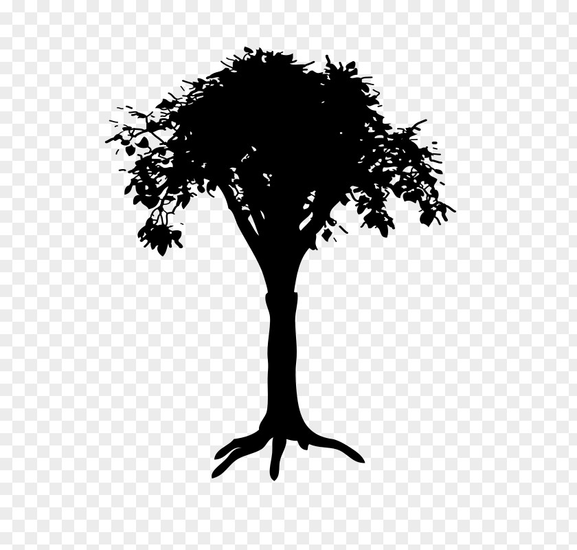 Silhouette Branch Tree Drawing PNG
