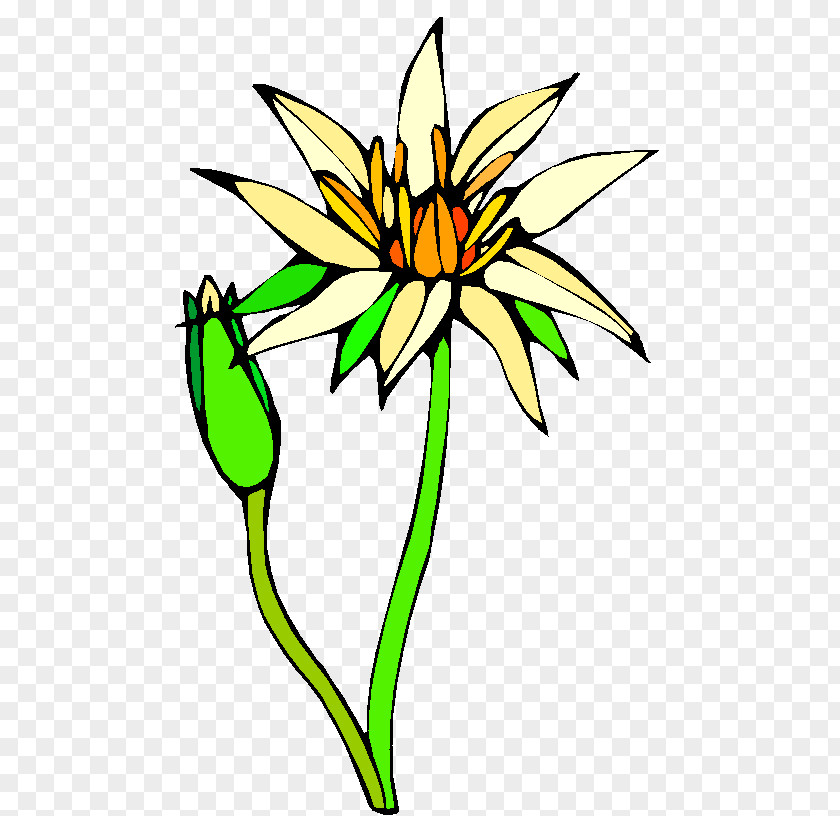 Trik Floral Design Cut Flowers Clip Art Plant Stem Yellow PNG