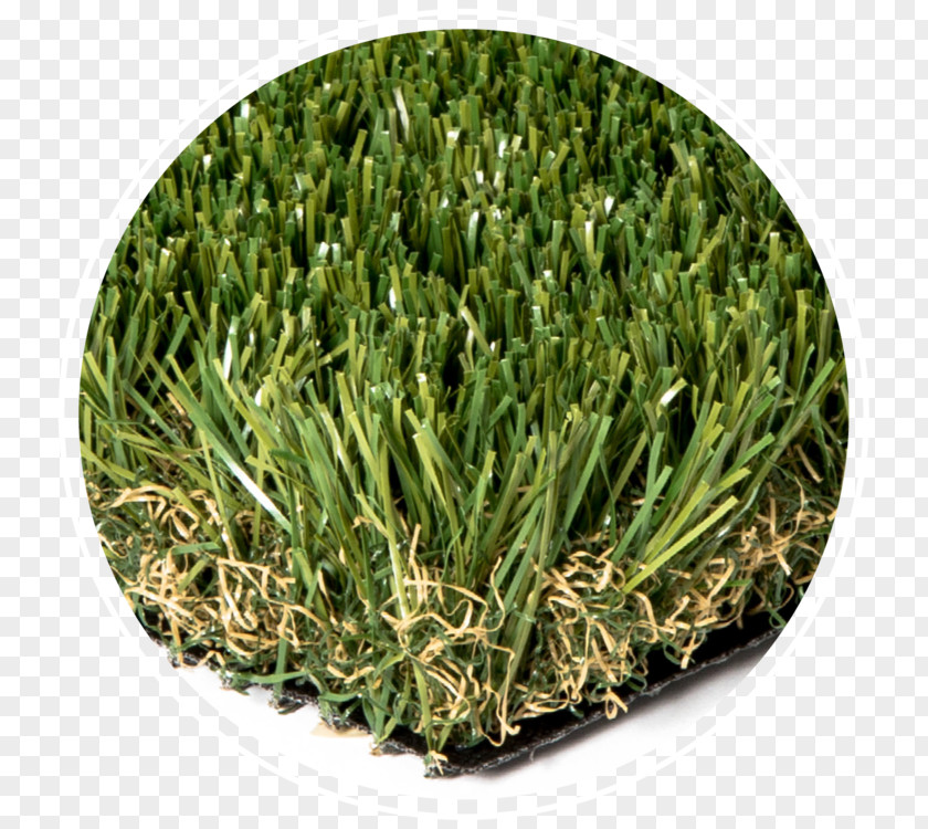 Artificial Turf Lawn Architectural Engineering Synthetic Fiber Landscaping PNG