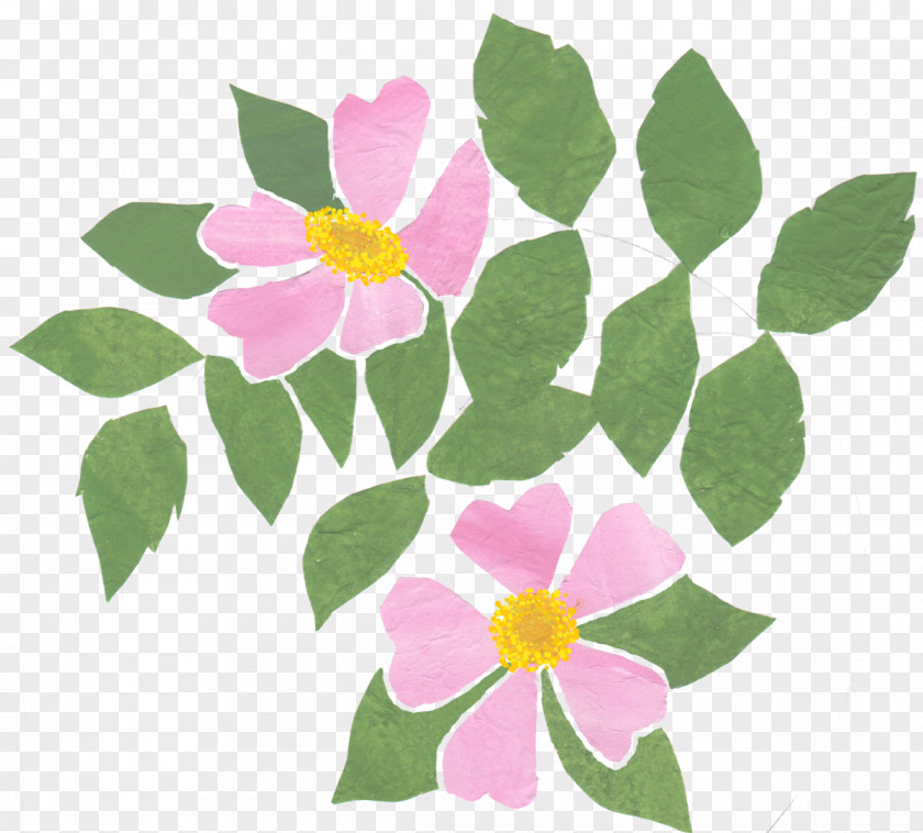 Design Floral Pink M Petal Annual Plant PNG