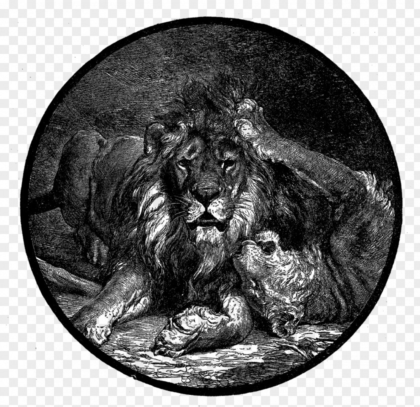 Digital Illustration Asiatic Lion Logic Semantics Mammal ZVAB Zentrales Verzeichnis Antiquarischer Buecher PNG