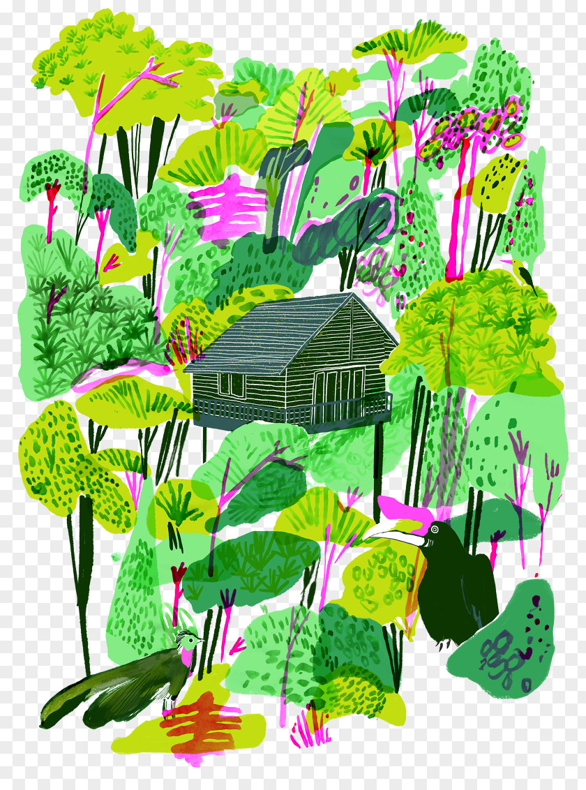 Jungle Illustration Drawing Clip Art Image Illustrator PNG