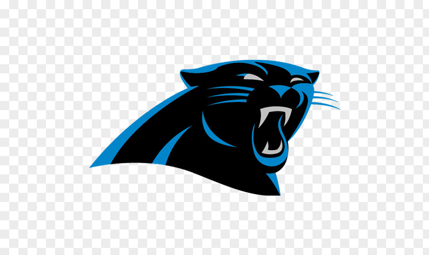 NFL Bank Of America Stadium 2018 Carolina Panthers Season Arizona Cardinals PNG