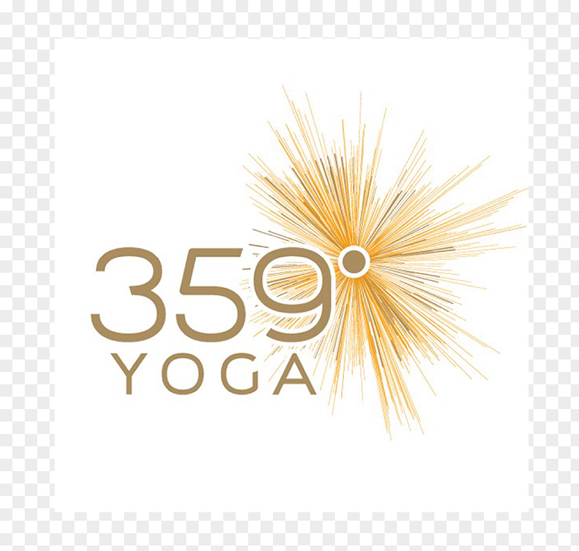 Yoga 359 Degree Ashtanga Vinyasa Henry Ford Wyandotte Hospital Health System PNG