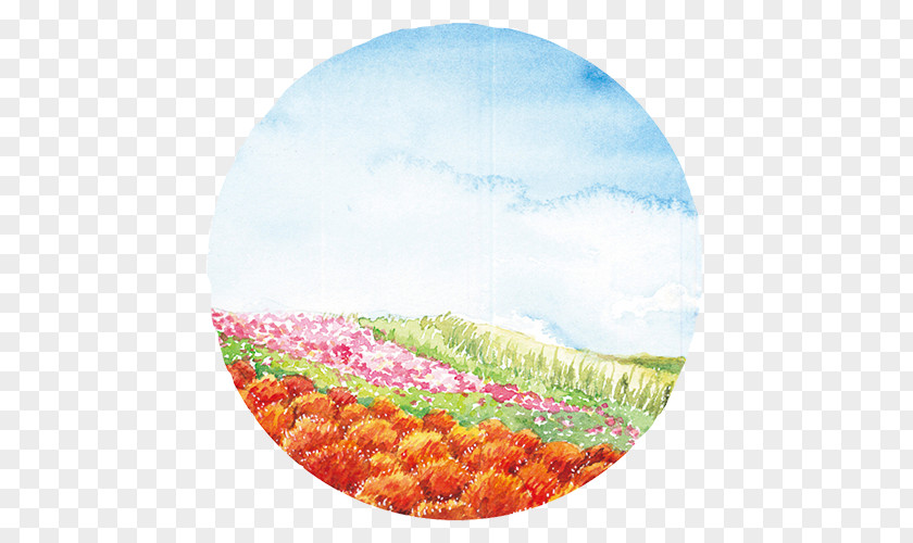 Color Field Petal Ecoregion Circle PNG