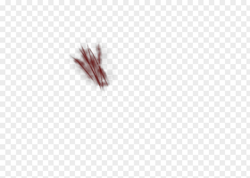 Image Transparent Scratches Close-up Maroon Wound PNG