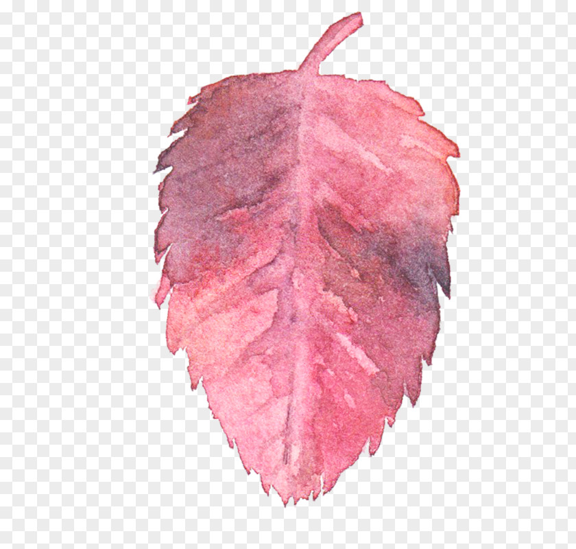 Leaf Watercolor Painting Clip Art Watercolor: Flowers PNG