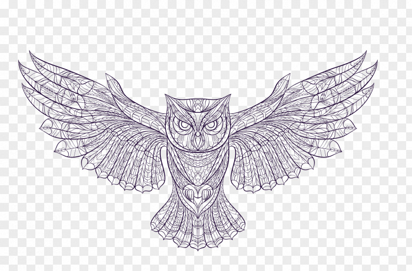 Owl Vector Graphics Euclidean Image PNG
