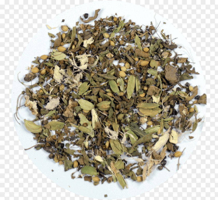 Tea Vinaigrette Maghrebi Mint Herb Catnip PNG