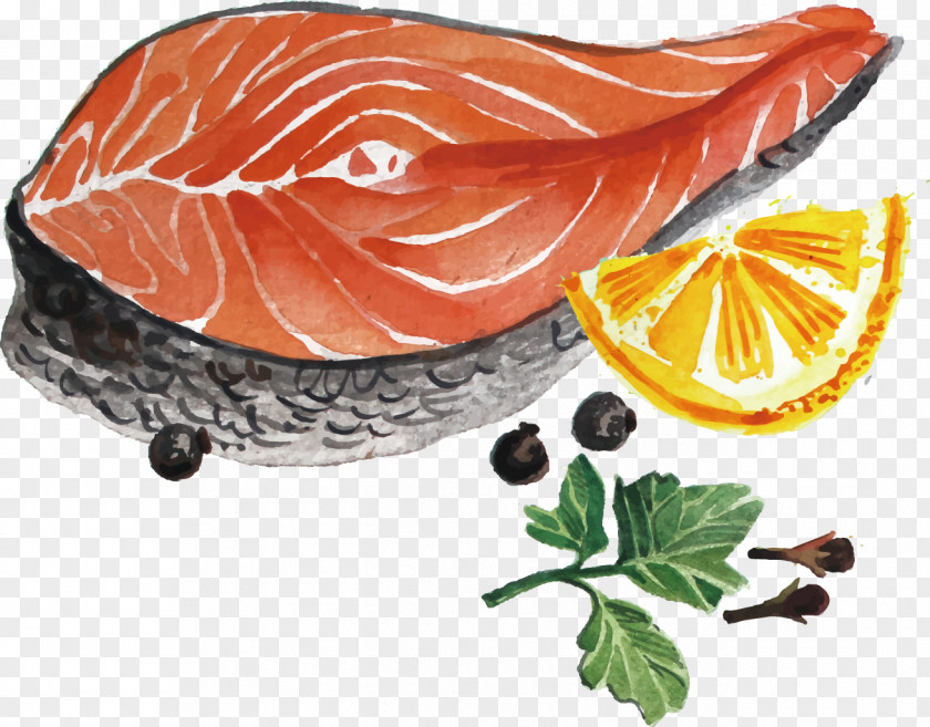 Vector Painted Fish Lemon Coffee Tea Caviar Salmon Sashimi PNG