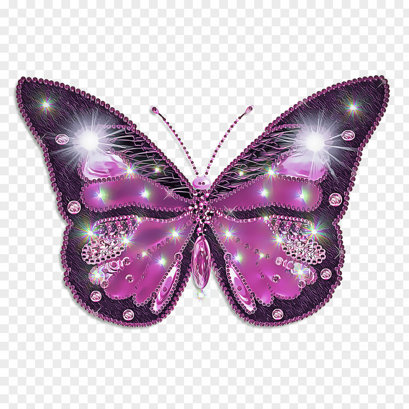 Brushfooted Butterfly Wing Insect Moths And Butterflies Purple Violet PNG