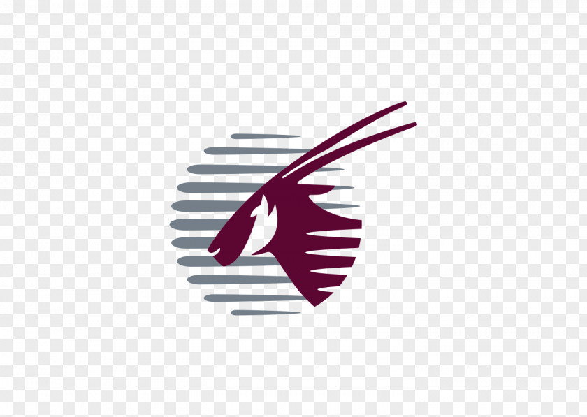 Ebay Doha Hamad International Airport Direct Flight Qatar Airways PNG