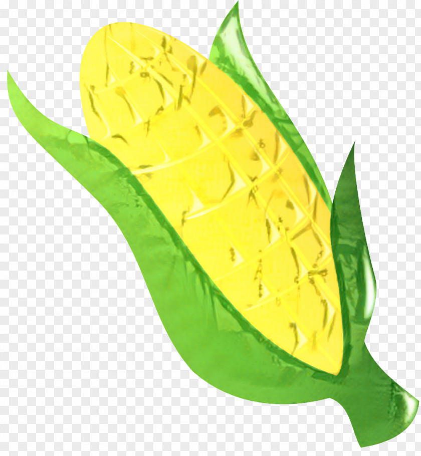 Flower Anthurium Yellow PNG