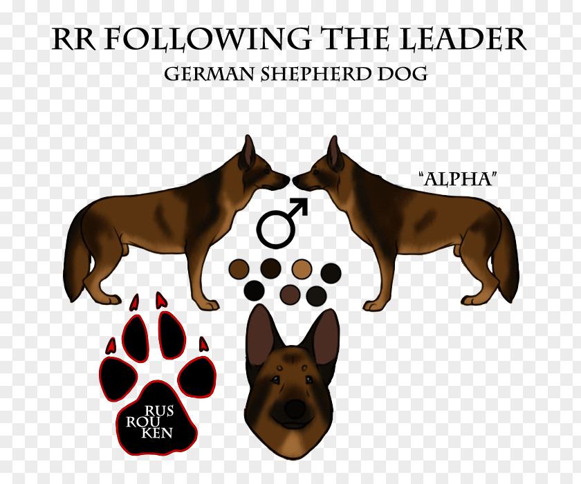 German Shepherd Puppies Great Dane Brindlequin Dog Breed Drawing PNG