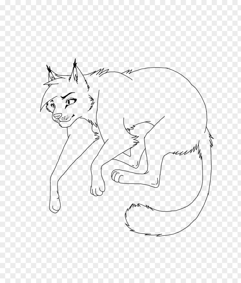Kitten Whiskers Line Art Cat Sketch PNG