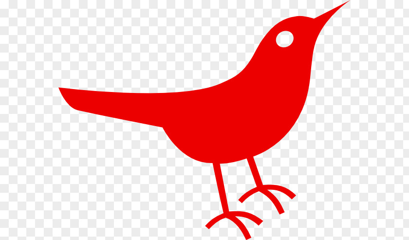 Red Bird Clipart European Robin Clip Art PNG