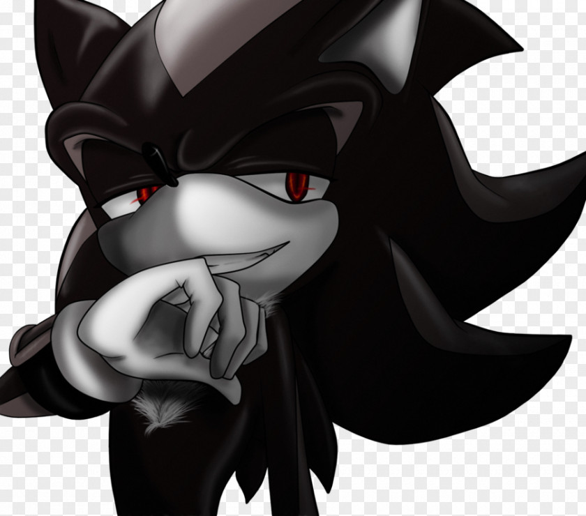 Sonic And The Black Knight Rouge Shadow Hedgehog Amy Rose Knuckles Echidna PNG