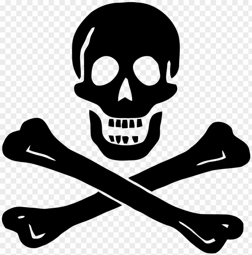 Calavera Pirata Download Clip Art PNG