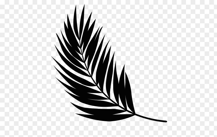 Feather Beak Leaf Noun Font PNG