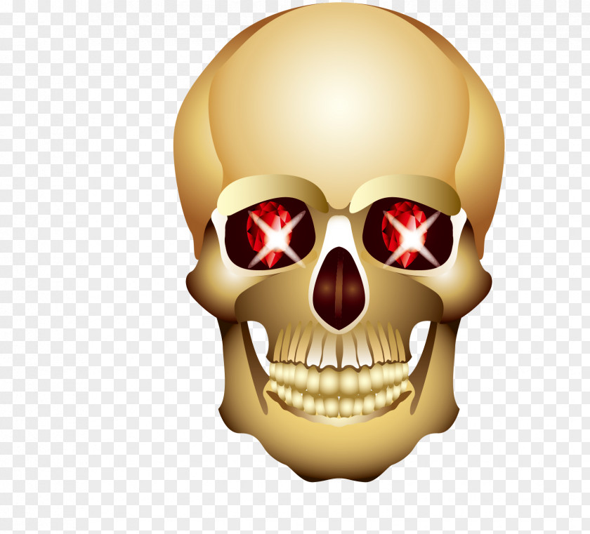 Glowing Eyes Of The Cranial Skeleton Head Eye Skull PNG
