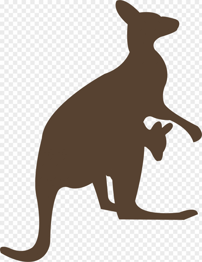 Kangaroo Macropodidae Animal Clip Art PNG