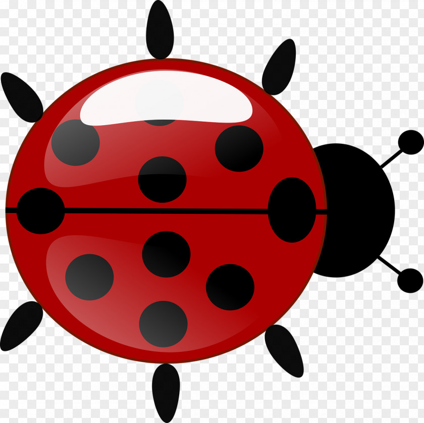 Ladybug Beetle Ladybird Antenna Clip Art PNG