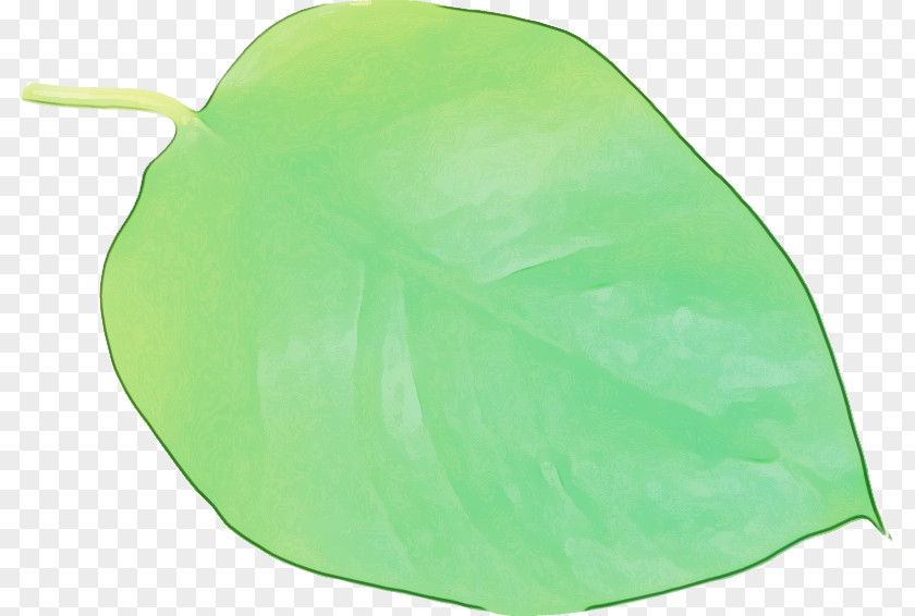 Leaf Green Plastic Plants Biology PNG