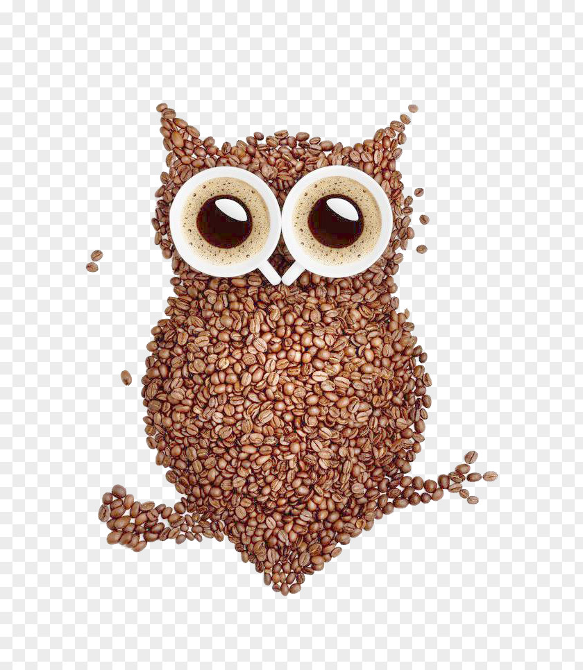 Owl Coffee Bean Latte Tea Cafe PNG
