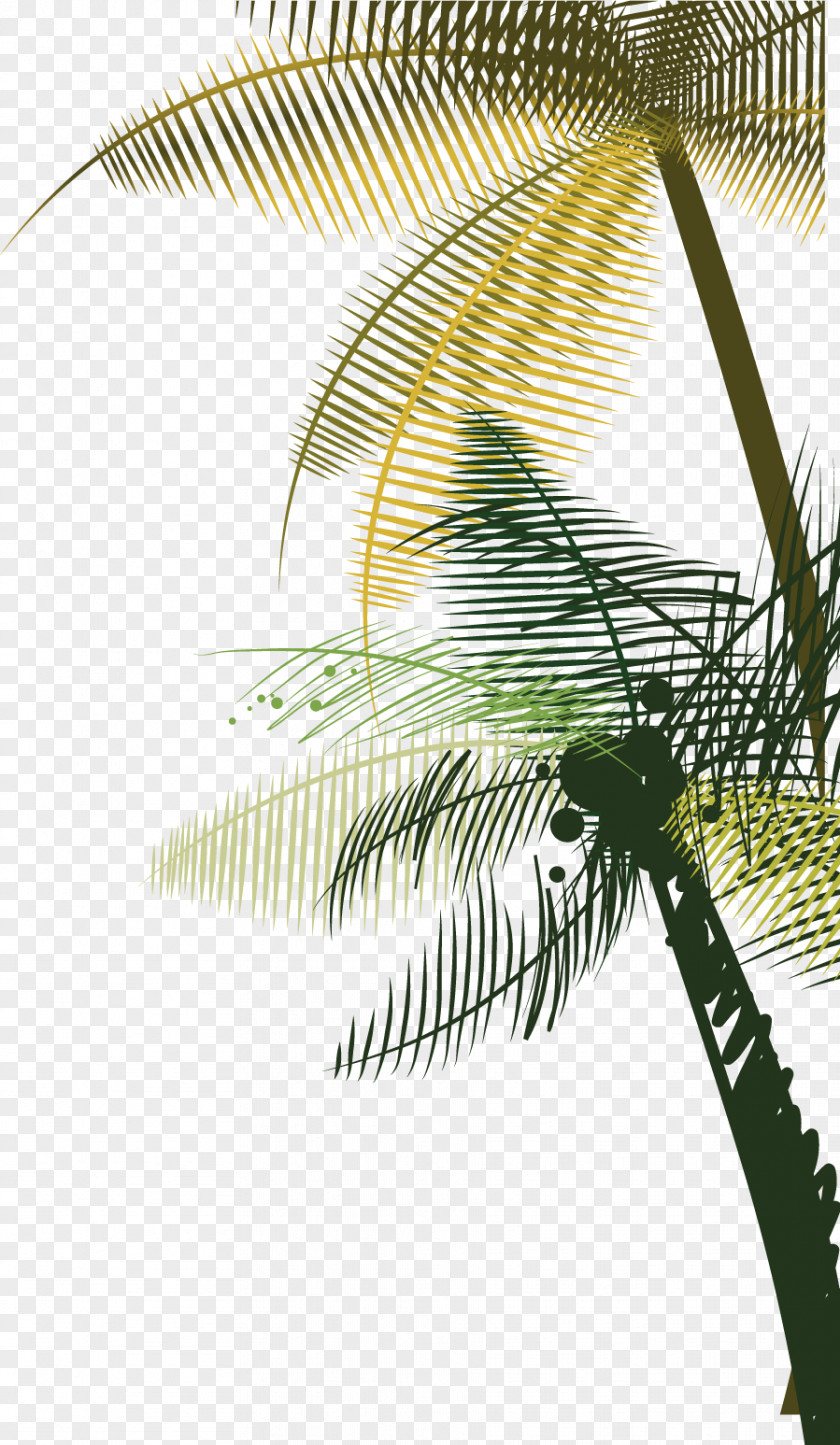 Vector Fashion Hand Painted Side Palm Tree Coconut Euclidean PNG