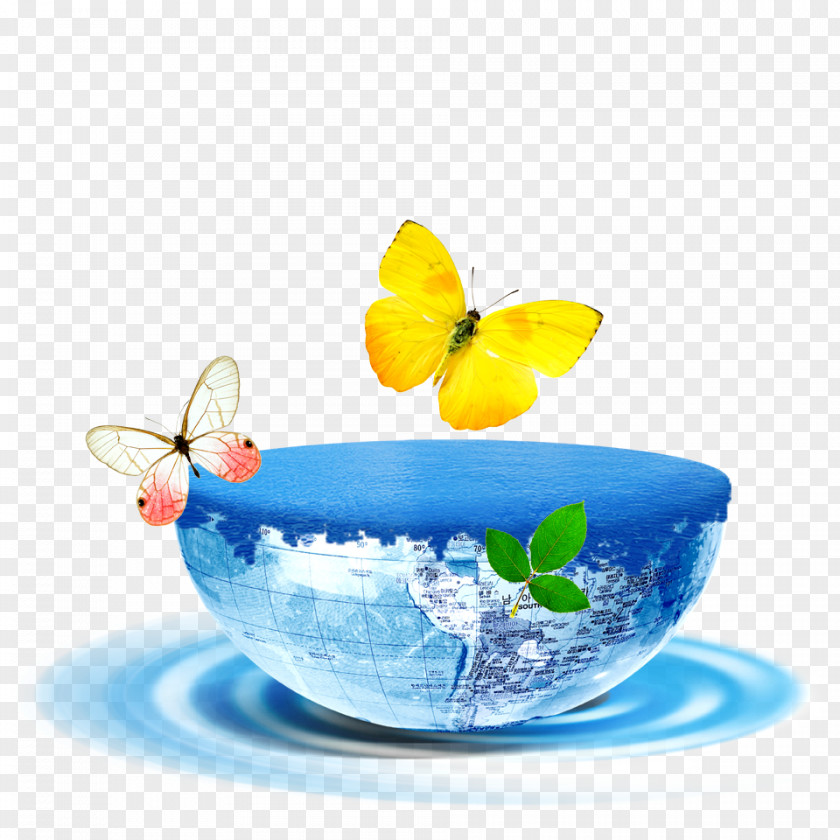 Water Balloon Butterfly Poster PNG