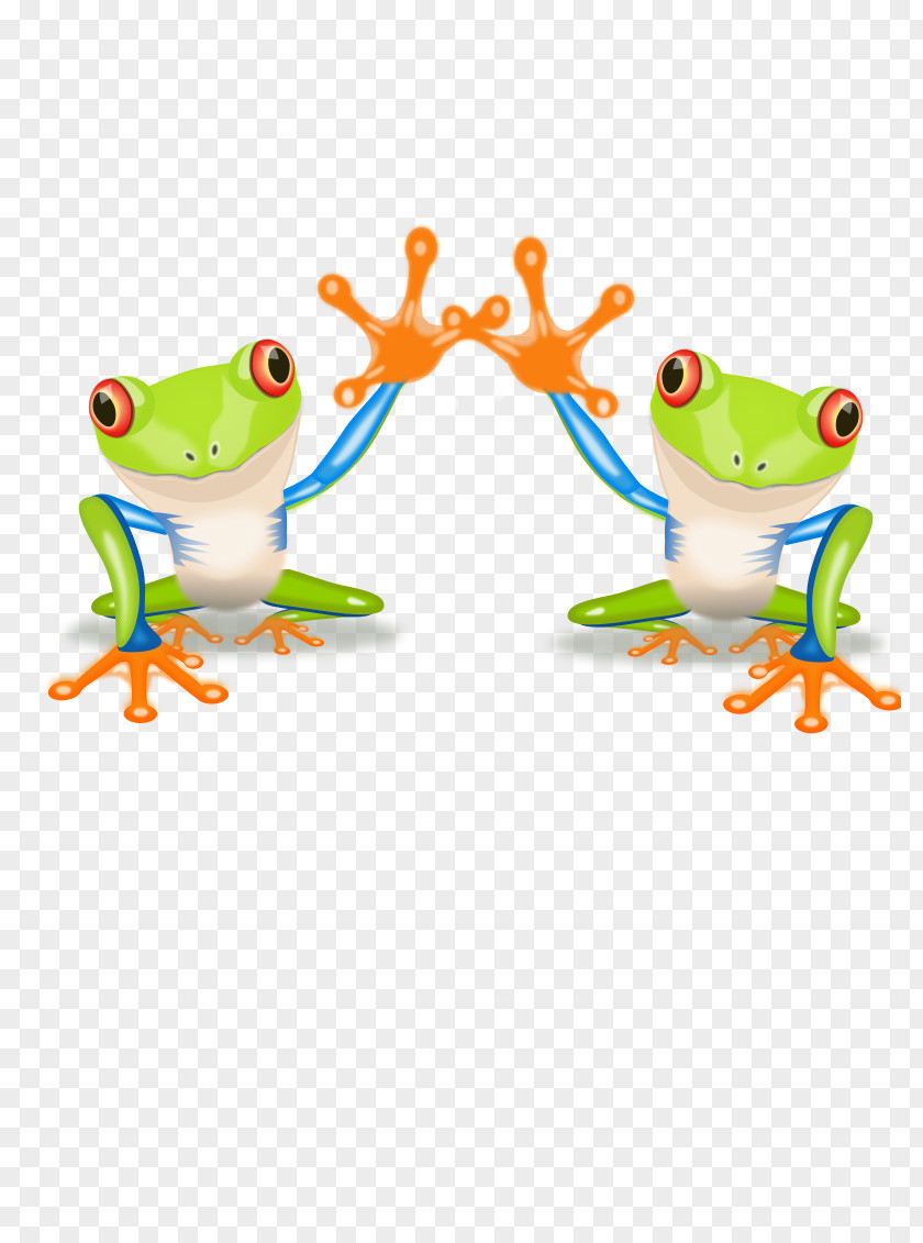 Amphibian Red-eyed Tree Frog Clip Art PNG