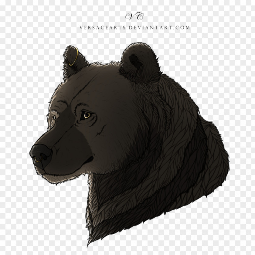 Bear Fur Snout Terrestrial Animal PNG