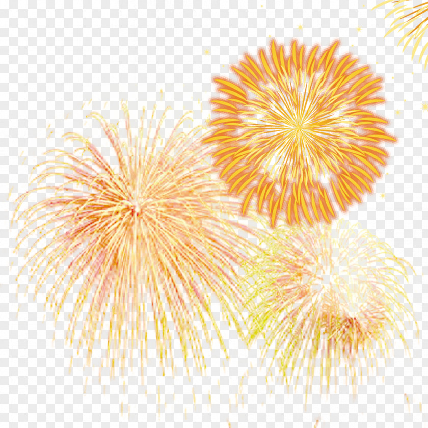 Fireworks Picture PNG