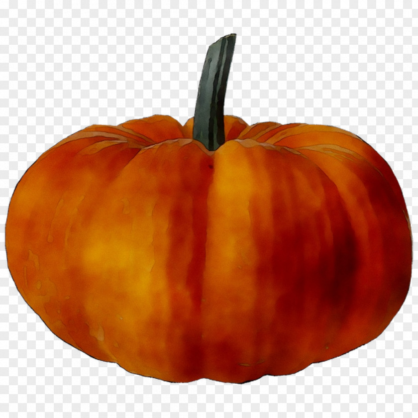 Jack-o'-lantern Gourd Pumpkin Calabaza Winter Squash PNG
