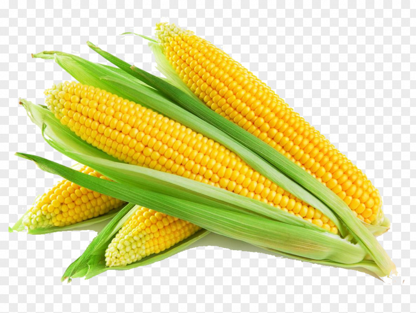 Maize Cereal Agriculture Corn Oil Cornbread PNG