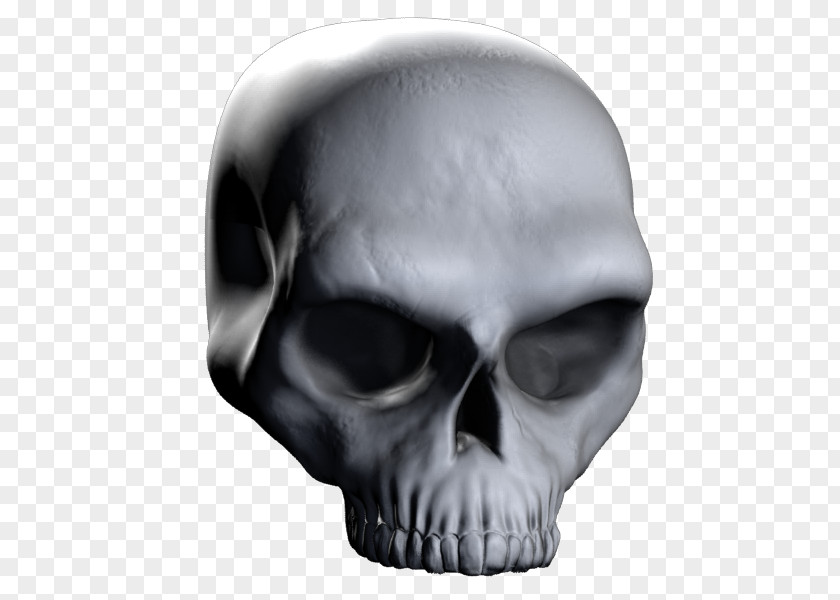 Skull Calavera ZBrush Rendering 3D Computer Graphics PNG