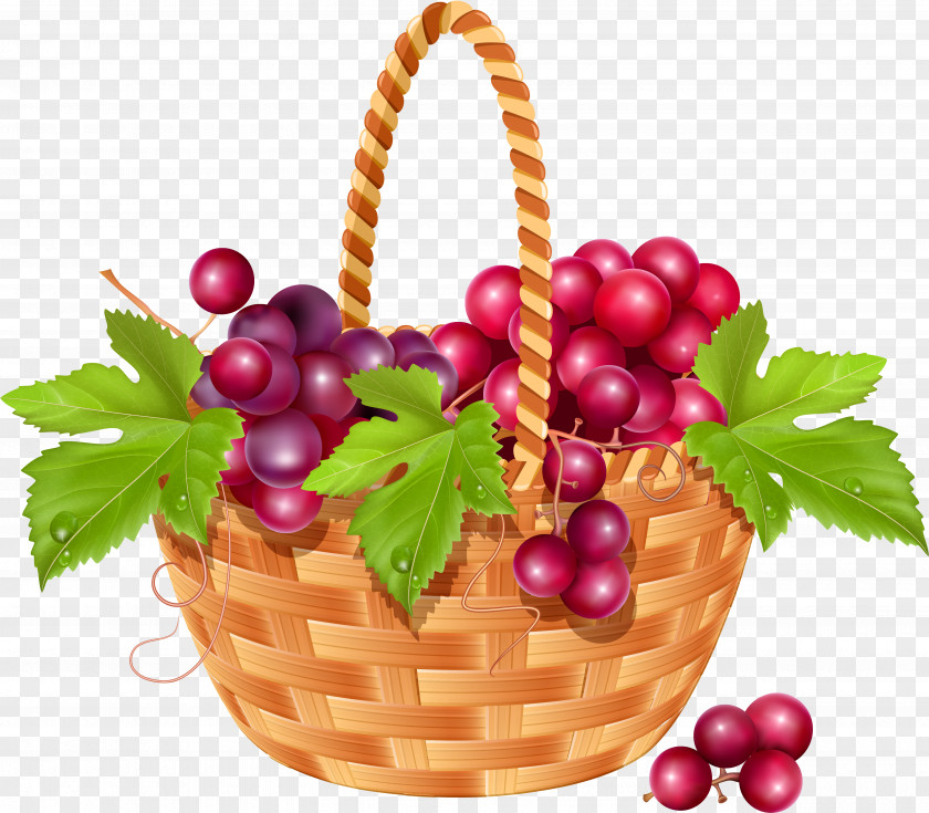 Berries Common Grape Vine Fruit Basket PNG