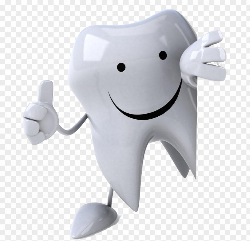 Cartoon Smiley Tooth Model Mouth Illustration PNG