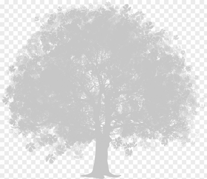 Green And Dark Grey Tree Clip Art PNG