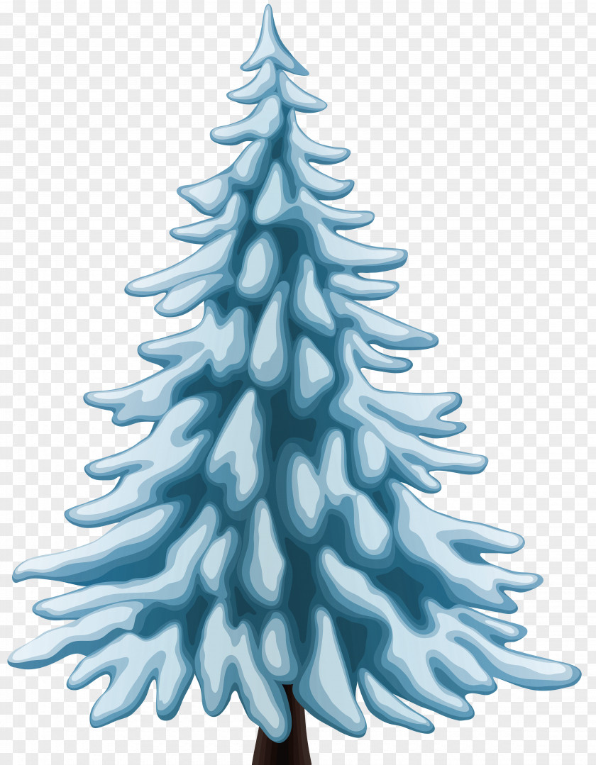 Pine Fir Tree Spruce Clip Art PNG