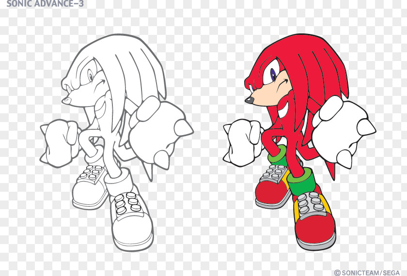 Ta Anit Esther Sonic & Knuckles The Echidna Hedgehog Chaos Rouge Bat PNG