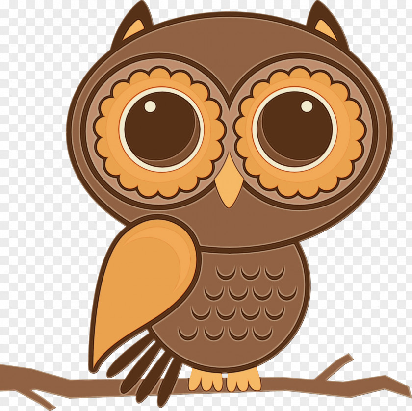 Western Screech Owl Cartoon Baby Bird PNG