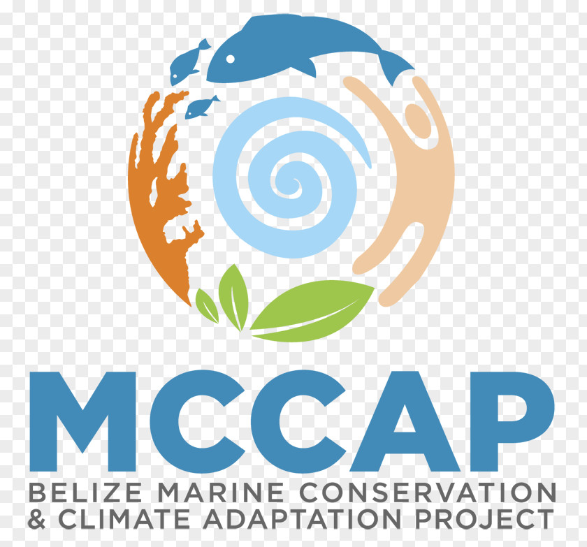 Belize Marine Fishes Logo Organization Coastal Zone Management Authority And Institute (CZMAI) Protected Area PNG