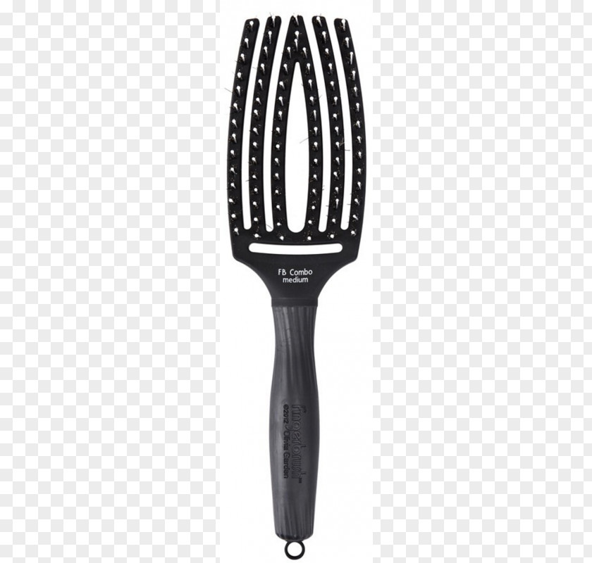 Hair Hairbrush Bristle Wild Boar PNG