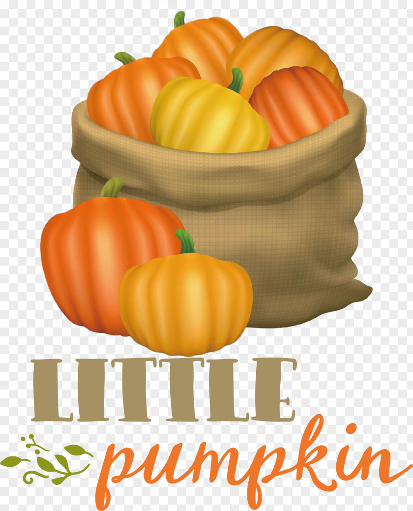 Little Pumpkin Thanksgiving Autumn PNG