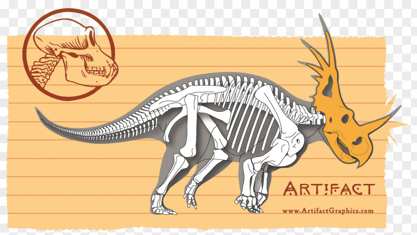 Skull Triceratops Einiosaurus Ceratopsia Styracosaurus Pachyrhinosaurus PNG
