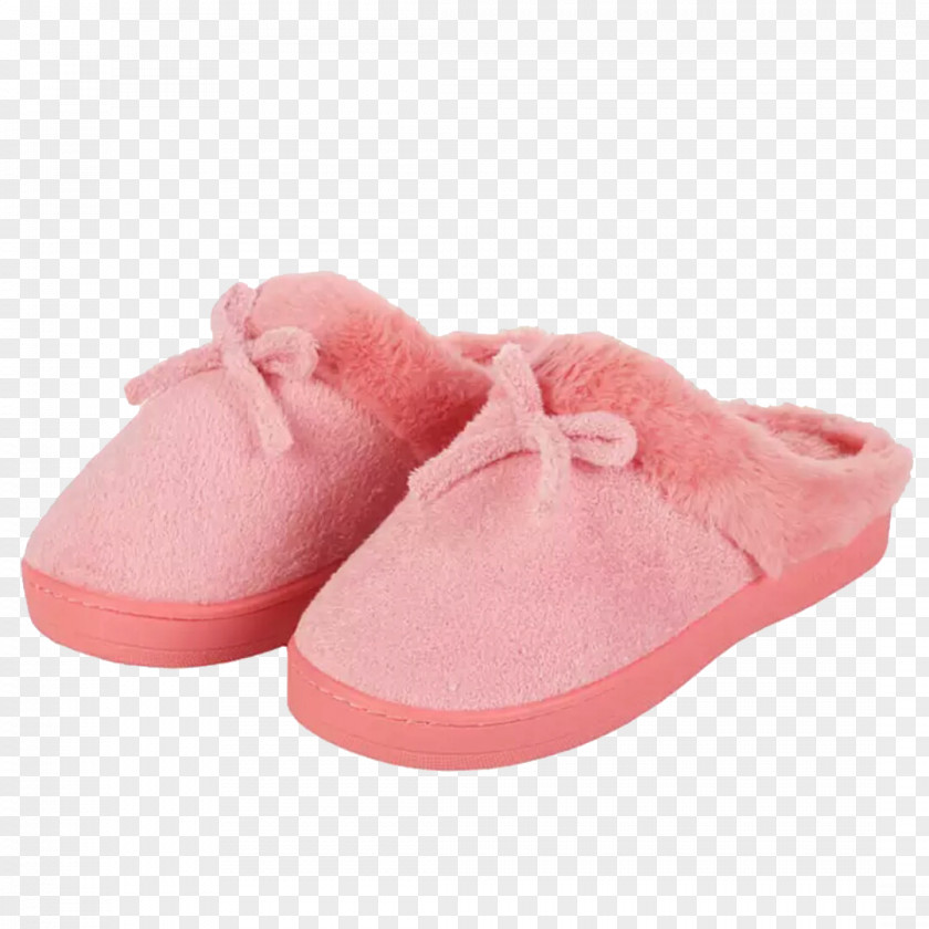 Bow Slippers Slipper Shoe Google Images PNG