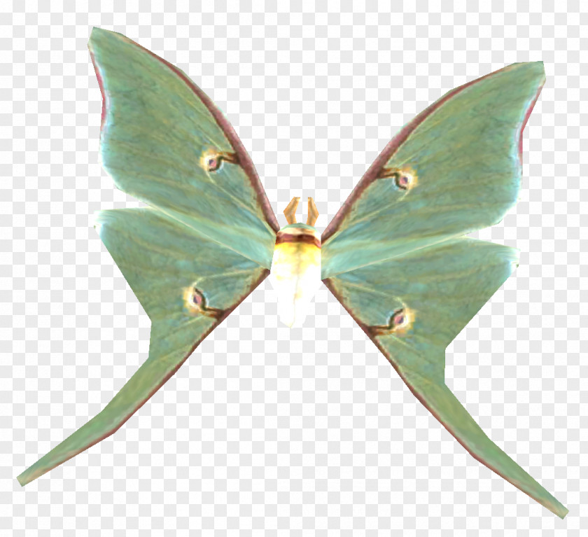 Butterfly Luna Moth The Elder Scrolls V: Skyrim Pterygota PNG
